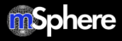 msphere (653k)